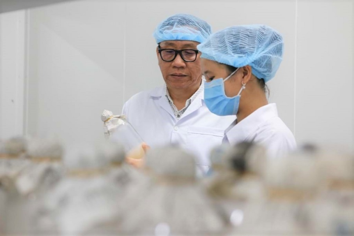 Ông Nguyễn Lâm Viên hướng dẫn kỹ sư trẻ trong một quy trình nghiên cứu, sản xuất vi sinh. Ảnh: nguoidothi.net.vn/ Trung Dũng